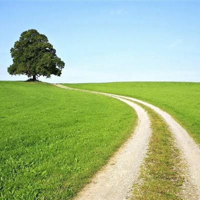 leyu·乐鱼下载手机版