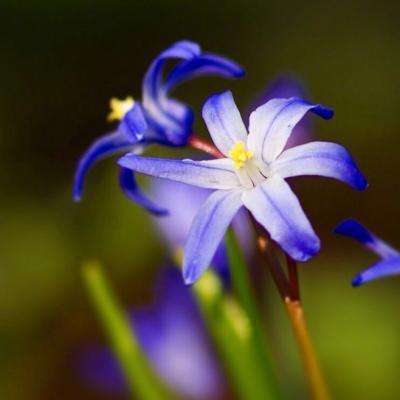 im电竞官网下载手机版